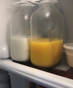 The Dairy Shoppe Heavy Glass Milk Bottles - Jugs with Lids and Silicone Pour Spouts - Clear Milk Containers for Fridge - Reusable Glass Milk Jug Dispenser - Made in USA (64 oz, 2 Pack) 64 oz 36 61QvgfdcEYL