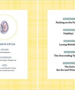 We're Pregnant! The First Time Dad's Pregnancy Handbook 31 61R6weakfaL