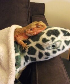 Melissa & Doug Giant Sea Turtle - Lifelike Stuffed Animal 35 61RAbePyXqL 1