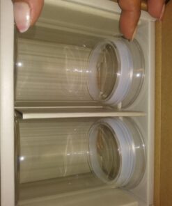 ZENS Glass Canisters Jar with Lid, Airtight Sealed 15 Fluid Ounce Spice Jars Sets of 2, Clear Small Kitchen Storage Containers for Herbs,Tea 4.76 x 3.15 IN 03-15oz*2 37 61RFua9xWKL