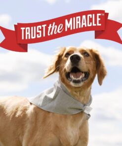 Nature's Miracle Carpet Shampoo, Deep-Cleaning Stain and Odor Remover 64 Ounce Original 64 Fl Oz (Pack of 1) 33 61RHCHFsIL