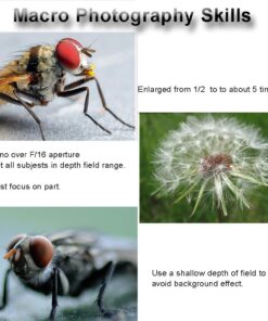 Mcoplus Extnp Auto Focus Macro Extension Tube Set for Nikon AF AF-S DX FX SLR Cameras 41 61RKt6Mct7L