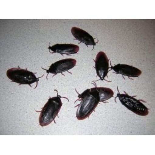 12- Fake Roaches Prank Novelty Cockroach Bugs Look Real