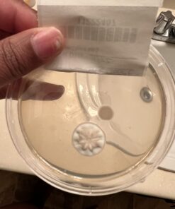 Mold Armor Do It Yourself Mold Test Kit 30 61RLXKnNGDL