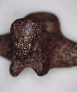 Celestron - 5 MP Digital Microscope Pro - Handheld USB Microscope Compatible with Windows PC and Mac - 20x-200x Magnification - Perfect for Stamp Collecting, Coin Collecting Handheld Digital Microscope Pro 78 61RMcoxRX1L