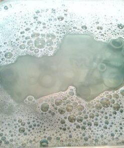 iSonic P4810 Commercial Ultrasonic Cleaner, 2.1Qt/2L, 110V for Brass, Gun Parts, Carburetor Cleaning , white 1. P4810 15 61RP39qyL