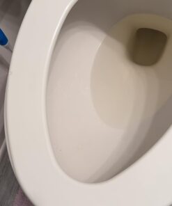 Milliard Citric Acid 10 Pound - 100% Pure Food Grade Non-GMO Project Verified(10 Pound) 226 Serving (Pack of 1) 36 61RPm3W6HmL