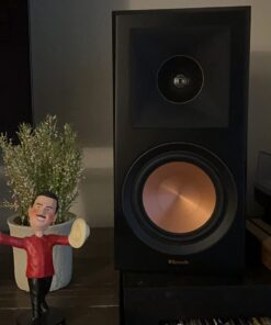 Klipsch RP-600M Reference Premiere Bookshelf Speakers - Pair (Ebony) Ebony 51 61RVEbT1yLL