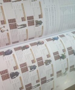 The Legend of Zelda: Breath of the Wild: The Complete Official Guide Collector's Edition 62 61RXIXgyoiL