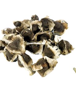 Morel Distribution Company Japanese Garlic (150 Cloves) + Moringa Seeds (1 oz) Bundle! 5 61RXyJzMTvL