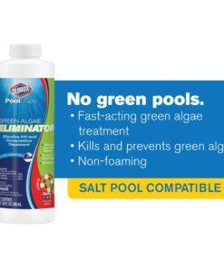 Clorox Pool&Spa Green Algae Eliminator2 32 oz 34 61RlJZNhpUL