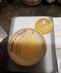 Chef'n FreshForce Citrus Juicer, 10.25 long, Yellow 46 61RqwL RULL