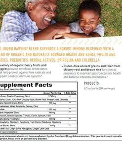 Kyo-Green Harvest Blend Superfood Supplement, 6 Ounce Bottle 6 Ounce (Pack of 1) Drink Mix 14 61Rr7bLxkQL