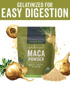 Viva Naturals Organic Maca Powder - Gelatinized Maca Powder Organic, Vegan and Kosher Peruvian Superfood - Certified USDA Organic, Gluten-Free & Non-GMO 1 Pound (Pack of 1) 24 61RsI02unWL