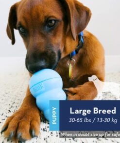 Alternative view of KONG - Puppy Toy Natural Teething Rubber - Fun to Chew, Chase and Fetch - for Large Puppies - Blue