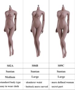 HiPlay 12 Inch Female Seamless Action Figures-Realistic Full Silicone Body Suntan Skin & Stainless Steel Skeleton-1/6 Scale Super Flexible Female Figure Dolls for Arts/Drawings/Photography (S12D) S12D 14 61RwI3GndlL
