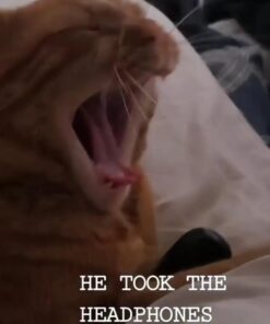 FELINE GREENIES SMARTBITES Skin & Fur Crunchy and Soft Natural Cat Treats, Chicken Flavor, 2.1 oz. Pack 2.1 Ounce (Pack of 1) 36 61S38S8OpyL 2