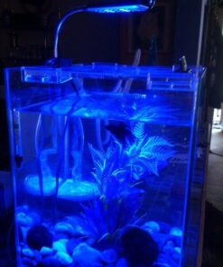 Fluval Chi II Series Aquarium Set, 5-Gallon - Aquarium Tank with Ambient LED Lighting, Flowing Water, and Elegant Design, White 5 gal 54 61S85JSKVEL