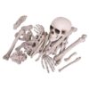 Kangaroo Halloween Bag of Skeleton Bones and Skull- Halloween Graveyard Props- Haunted House Lawn Yard Decorations- Scary Halloween Decorations 30 Pieces Bag of Plastic Bones 3 61SH1RQmBRL