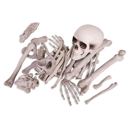 Kangaroo Halloween Bag of Skeleton Bones and Skull- Halloween Graveyard Props- Haunted House Lawn Yard Decorations- Scary Halloween Decorations 30 Pieces Bag of Plastic Bones