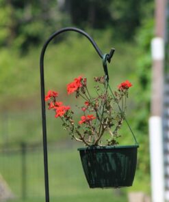 Ashman Black Shepherd Hook 92 Inch (Pack of 3), 1/2-Inch Thick, Solid Metal Single Piece Hook, Super Strong, Rust Resistant, Hanging Plant Baskets, Heavy Bird Feeders & More. 3 Pack 15 61SLRPvlCTL