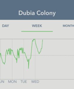 Primacare HB-10 Emergency Foil Mylar Thermal Blanket (Pack of 10), 52" Length x 84" Width, Silver 35 61SQy2oQsEL
