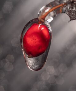 Behringer X-Touch Mini Universal USB Controller, Mackie Control Mode, 60mm Master Fader 43 61SVRIo5D6L