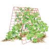 Gardeners Supply Company Deluxe Cucumber Trellis | Easy to Install Raised Garden Bed Cucumbers & Climbing Plants A-Frame Trellis | Outdoor Plant Support w/ 4" Grids for Easy Harvesting | 32"W x 46"H