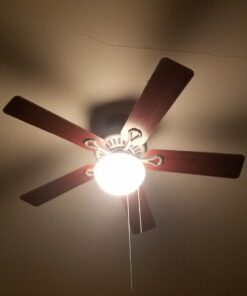 Philips LED Dimmable Frosted Light Bulb 8 Count (Pack of 1) 11 61Sn77d1PIL