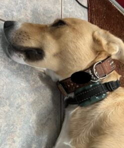 UPGRADED Q6 Rechargeable Bark Collar - Smart Barking Detection Module w/Triple Stop Anti-False Modes: Beep/Vibration/Shock for Small, Medium, Large Dogs & Breeds - IPx7 Waterproof (15-120 LBS) 48 61Sz5R3EruL