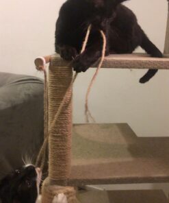 KINGLAKE Natural Thick Strong Jute Rope 66 Feet 5mm 3 Ply Hemp Rope Cord for Arts Crafts DIY Decoration Gift Wrapping 5mmx66 ft Brown 27 61T6Ch6vweL