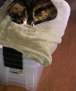 Sterilite 70 Qt Ultra Latch Box, Stackable Storage Bin with Latching Lid, Organize Clothes, Sport Gear in Basement, Clear with White Lid, 4-Pack 70 Quart 44 61T78Jja5lL