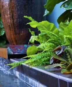 Nikon D3200 24.2 MP CMOS Digital SLR with 18-55mm f/3.5-5.6 Auto Focus-S DX VR NIKKOR Zoom Lens (Black) (OLD MODEL) Black w/ 18-55mm Base 88 61T809etuWL