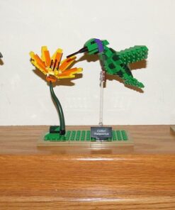 LEGO Ideas 21301 Birds Model Kit 38 61T97RRRz L