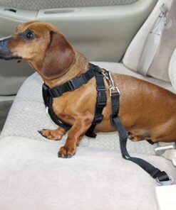 Portable Blender, Personal Blender for Shakes and Smoothies, 200W Small Blender USB Rechargeable/ 2X MORE POWERFUL Than Most Mini Travel Blender/Crushes ice,Fresh Juice Leegoal Blender Bravo(1st Gen) 11 61TC4HtcltL