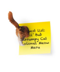 Kikkerland Magnetic Funny Cat Butt Refrigerator Decorative Magnets, Set of 6, Novelty Gift, Cat Lovers 28 61TFfpzph0L