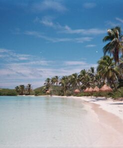 Fujifilm QuickSnap Flash 400 Disposable 35mm Camera (Pack of 2) 56 61TGTLvKKOL