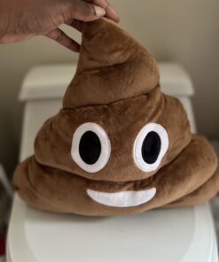 SciencePurchase Pile of Poo Throw Pillow - Poop Face Stuffed Plush 6 61TNXBlFmSL