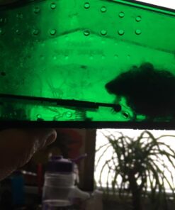 Alternative view of Smart Mouse Trap - Humane Mousetrap