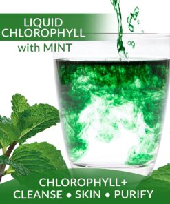 Eniva Health Liquid Chlorophyll Super Greens | 24K MG with Prebiotic & L-Glutamine | Mint Flavor | Skin, Immunity, Energy, Detox, Gut Health | Vegan, Gluten & Alcohol-Free | 48 Servings | USA Made 12 61TXHAQqkxS