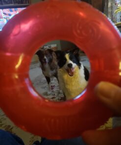 KONG - Squeezz® Ring - Strong Squeaky Dog Toy, bounces and squeaks even if punctured - For Large Dogs (Assorted Colors) 19 61TXMUUBg6L