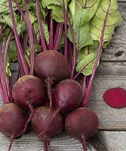 Organic Beet Seeds, APPR. 225, Early Wonder Tall Top Beet, Heirloom Vegetable Seeds, Certified Organic, Non GMO, Non Hybrid, USA 8 61TbX NOtlS