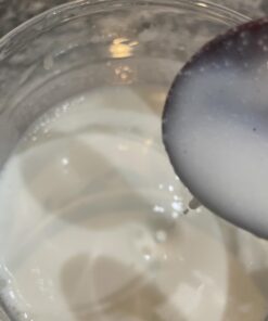 Cultures for Health Milk Kefir Grains | DIY Frothy Dairy Non-GMO Probiotic Drink for Stronger Gut Health | Limitless Heirloom Style Starter | Easy to Flavor or Add to Recipes | Bulgaros De Leche 43 61TdYIvyjwL