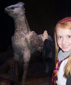 Rubie's boys Kipper Tie Multicolor 18 61TeViPopEL