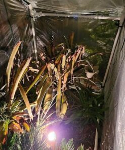 Alternative view of ORFL10506 Floodlight Kit Green 18/2 Cord (D132) 1