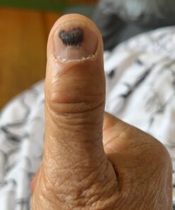 NutriBiotic – Pure Coconut Oil Soap, Unscented, 1 Gallon | Certified Organic, Unrefined, Biodegradable, Vegan & Made without GMOs, Gluten, Parabens Or Sulfates | Rich, Cleansing Lather 128 Fl Oz (Pack of 1) 9 61ToSF xNL