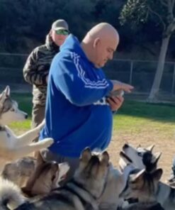 Milk-Bone Original Dog Biscuits, Medium Crunchy Dog Treats, 10 Pound 32 61ToeHQFsbL