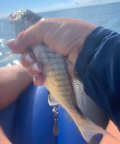 Intex Floating Recliner Inflatable Lounge, 71in X 53in, Multicolor 1 Pack 28 61Tss5GVf2L