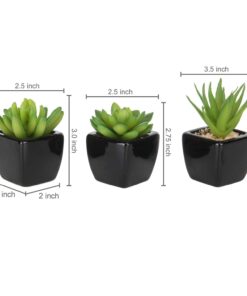 MyGift Set of 3 Faux Succulents in Mini Square Pots - Modern Home Decor Succulent Artificial Plants with Black Ceramic Planter Pot 21 61TuOoAs4vL