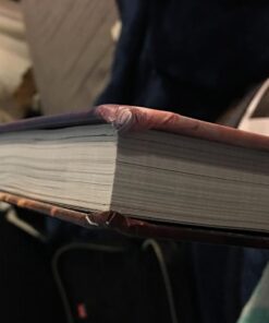 The Legend of Zelda: Breath of the Wild: The Complete Official Guide Collector's Edition 65 61UFAWzLheL